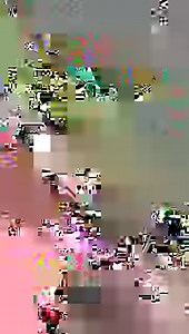 Have you ever seen a moose in the Upper Peninsula?! 📍US141 between Amasa and Covington | Michigan's Upper Peninsula