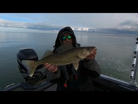 Saginaw Bay Fall Walleye Jigging with Livescope