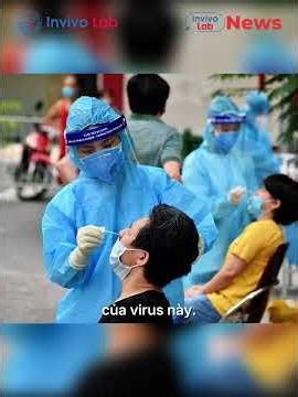 Dịch Chồng Dịch – Sốt Xuất Huyết, Tay Chân Miệng Và Covid-19 Đồng Loạt Tăng Mạnh #invivolab #tintuc