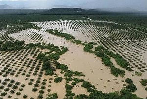 [COLUMNIST] The hidden costs of climate change: impacts on rural communities