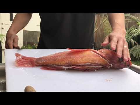 Filleting Rock Cod