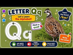 Letter Q | Learn the Letter Q Sound, Formation & Writing Practice | Quail