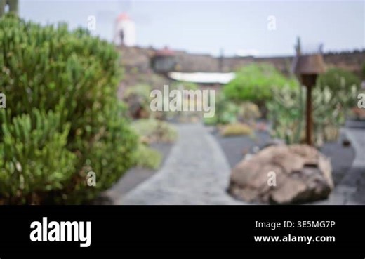 Blurred image of a cactus garden path in lanzarote with bokeh effect and defocused windmill in the background Stock Video Footage - Alamy