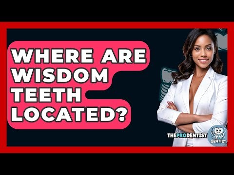 Where Are Wisdom Teeth Located? - The Pro Dentist