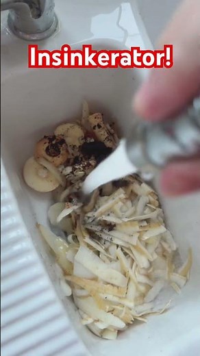 Insinkerator Devours Peelings & Grounds @InSinkEratorEU @WasteOfTimeuh