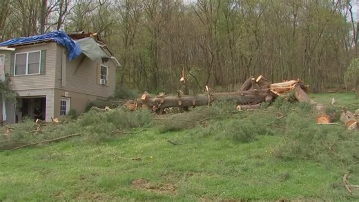 Fayette County family grapples with clean-up after tree holding sentimental value crashes into home