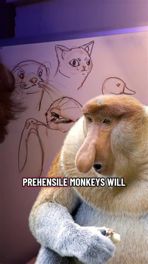 Nature's Unchanging Laws: Drawing Animals Explained