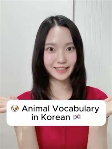 Cute animal words in Korean! 🐶💛 Learn: dog, cat, rabbit, bear - all in Korean! Follow for more daily Korean basics 🇰🇷✨ #learnkorean #koreanforbeginners #koreanlesson #koreanwords #harukorean