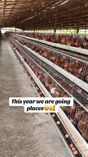 Explore the Life of a Farmer Girl in 2023