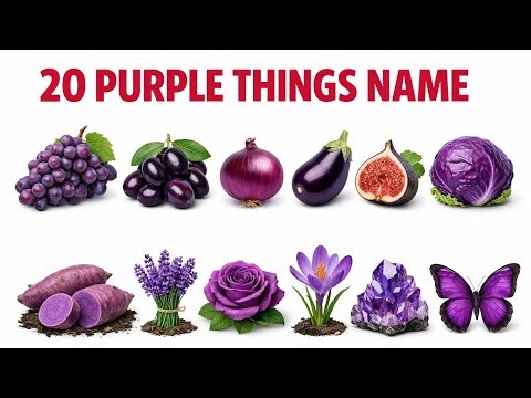 Top 20 Purple Things Name 💜 | Purple Objects for Kids | Learn Colors in English