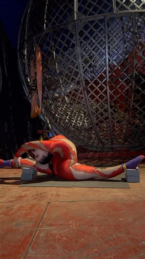 Contortion splits #fyp #flexibility #circus #split #contortion #stretching #acrobatics