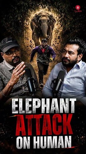 Comment down your views on elephant attacks #elephant #forest