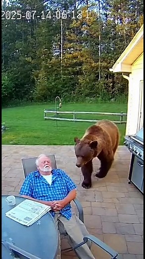 170K views · 400 reactions | Grandpa Wakes Up to a Bear Sniffing Him...
