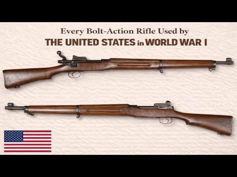 Every Bolt-Action Rifle Trusted by the United States During World War I