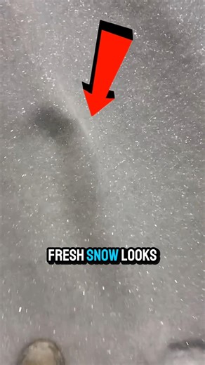 Extreme Cold Snow Looks Unreal ❄️ | Frozen Powder Effect