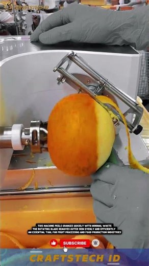 Orange Peeling Machine for Fast and Efficient Citrus Processing Operations #machine