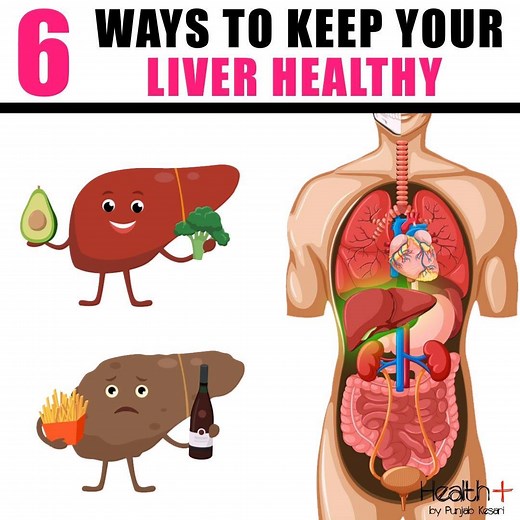 97K views · 1.6K reactions | 6 Ways to Keep Your Liver Healthy | Health+ | Facebook