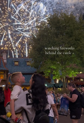 Discover the Magic Behind the Castle at Disney World