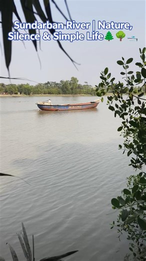 Sundarban River Trawler | Nature, Silence & Simple Life #sundarban #tiger #tree #boat #nature