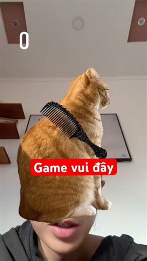 Game vui đây