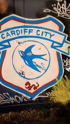 cardiff city fc