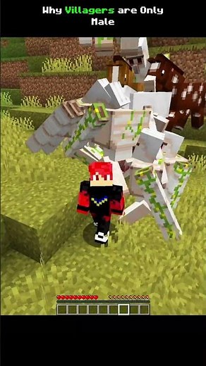 Unlock the Ultimate Witch Port in Minecraft! 😱💎 | Secret Tutorial