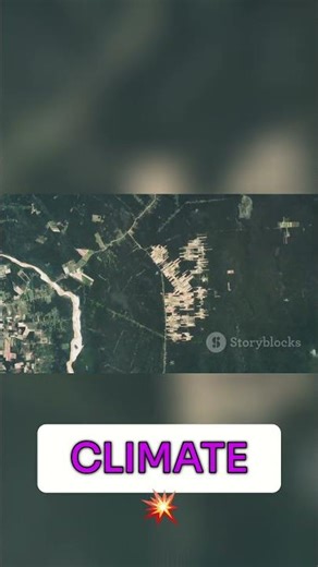 Cycles of Life: How Humans Impact Earth's Balance