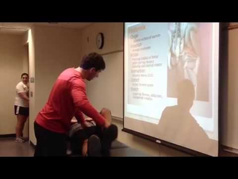Piriformis: Palpation, Manual Therapy and Stretch