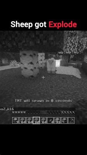 Sheep got explode.. #minecraft