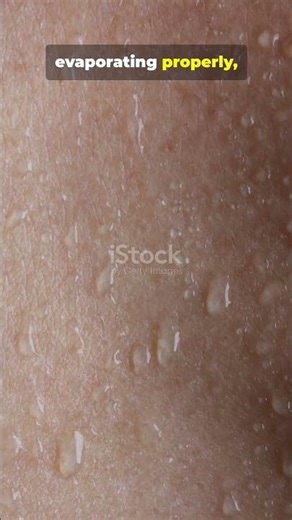 Why High Humidity Can Make People Feel Sick More Easily?