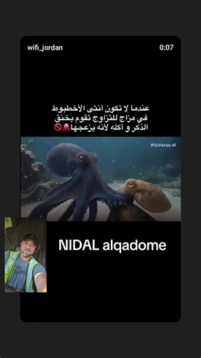 nidal (@nidalalqadome2)’s video of nidal