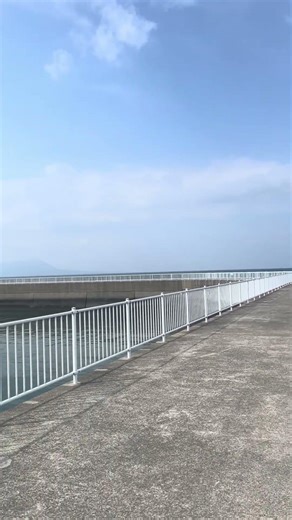 静かな海に響くサギの声#自然#海#癒し#自然音#熊本