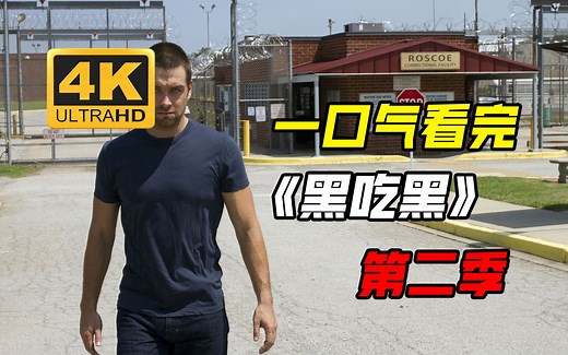一口气看完动作/犯罪美剧《黑吃黑》第二季