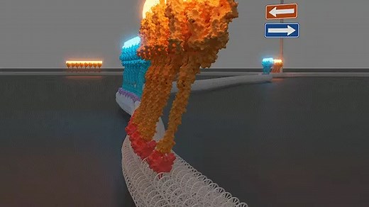 Much as a train switchyard can steer rail cars to different locations, researchers have engineered protein motors to carry tiny bits of cargo to different locations. https://fal.cn/3rLbu | AAAS - The American Association for the Advancement of Science