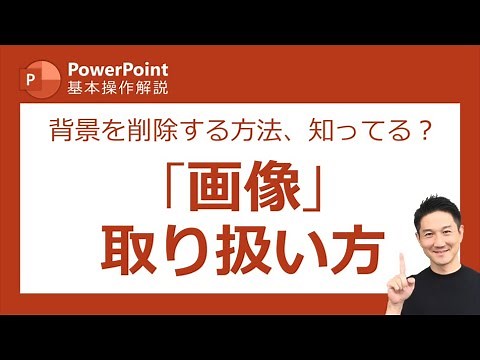 パワーポイント基本操作第8回 プレゼン資料に画像を挿入する方法と、挿入した画像を編集する方法をご紹介！PowerPoint／パワポ