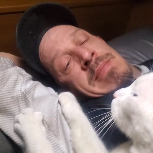 Chloroform Cat Memes That Will Make You Laugh