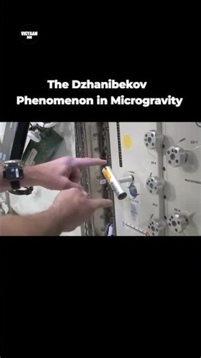 Dzhanibekov Effect क्या है? अंतरिक्ष की अनोखी फिज़िक्स #shorts #shortvideo #space #vigyaan360
