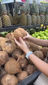Are the 6 best foods in the world | Top Tips