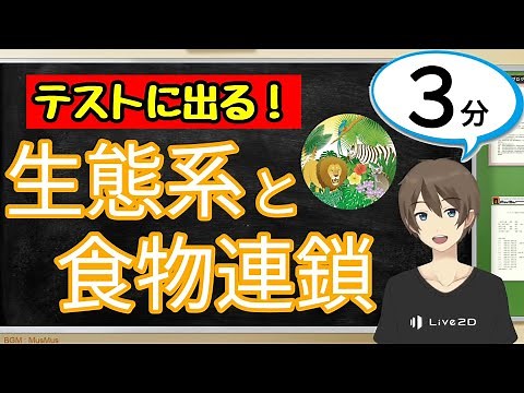 生態系と食物連鎖（自然・科学技術と人間）【中3理科わかりやすい授業動画】