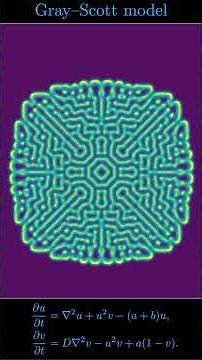 Gray–Scott Model #GrayScott #ReactionDiffusion #mathematics #nonlineardynamics #chemistry #math