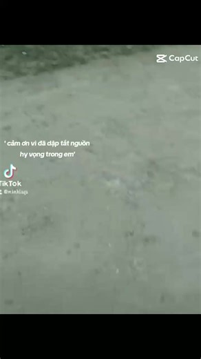 Video của 24H mis Bin (@missbinphat) với bản nhạc nhạc nền - Em Nhímm 🦔 - Yang👾