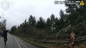 Seattle PD releases video of incident that left K-9, suspect dead