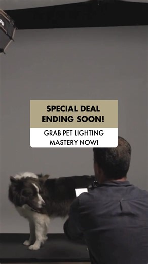  FINAL CALL! Don’t miss your chance to grab Pet Lighting Mastery...