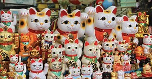 Comment le chat a-t-il conquis le coeur des Chinois ?