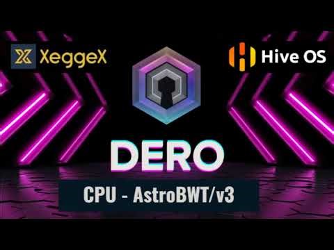 DERO COIN! (DERO) - Easy CPU Profit Mining HIVEOS Tutorial + Wallet!