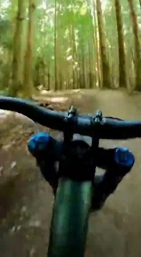 WHAT?!🤣 Amazing bear tricks you must see #funny #viral #animals