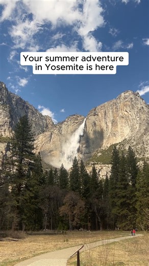 Embark on a guided Naturalist walk in Yosemite! ✔️ Explore Yosemite with a local guide ✔️ Experience the magic of Yosemite at sunset or under the stars ✔️ Learn about the natural and cultural history of Yosemite. Spots are limited, so sign up now! | Yosemite Conservancy