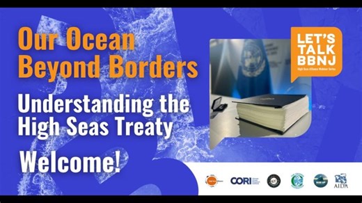 Our Ocean Beyond Borders: Understanding the High Seas Treaty | High Seas Alliance