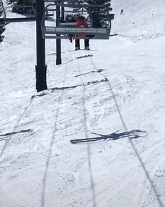 Walter the ski patrol dog enjoying a ride up Squaw Valley. | Active NorCal