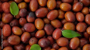 Ripe Ziziphus jujuba fruits with leaves. Chinese date fruits background rotating. Unabi common or Yuyuba Chinese - exotic fruits of jujube tree, closeup, slow motion, flat lay